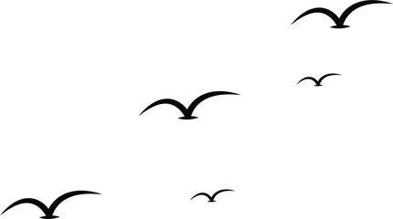 Silhouette flock of birds flying in the sky, symbolizing freedom and nature's beauty.