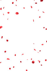 Fluttering Red Rose Petals vertical frame