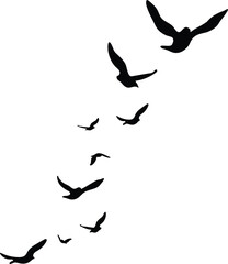 Silhouettes of birds soaring gracefully against a bright sky, symbolizing freedom and aspiration.
