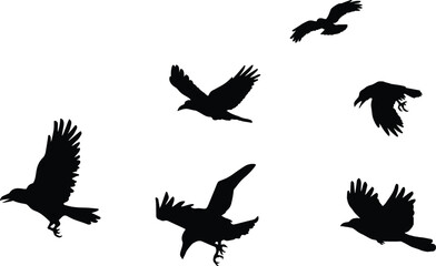 Silhouettes of birds in flight against a white background, creating a sense of freedom and movement