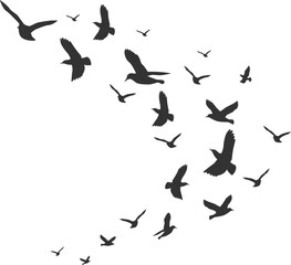 Flock of birds soaring gracefully across a vast, open sky, symbolizing freedom and migration.