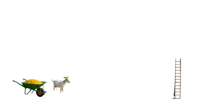 FARMING - Yellow wheelbarrow with garden tools and goat near wooden ladder on white background, farming and gardening concept