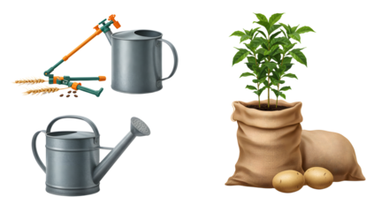 FARMING - Gardening tools with watering cans and a sack with a young potato plant and potatoes, perfect for gardening and planting projects