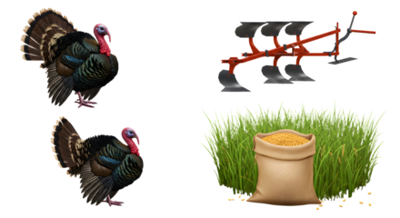 FARMING - Pair of wild turkeys with farming plow, sack of grain and green wheat grass isolated on white background, agricultural concept