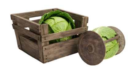FARMING - Fresh green cabbage in rustic wooden crate and vintage spool, natural vegetable farm produce, healthy organic food concept