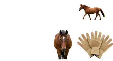 FARMING - Brown horse with white blaze face and riding gloves isolated on black background, perfect for equestrian or agricultural themes