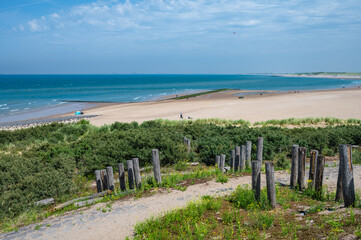 Coastal Greenscape near Cadzand Beach, The Netherlands