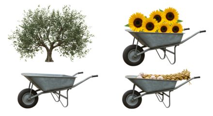 FARMING - Four gray metal wheelbarrows with tree, sunflowers, and garlic bulbs in natural daylight isolated on white background, perfect for gardening themes