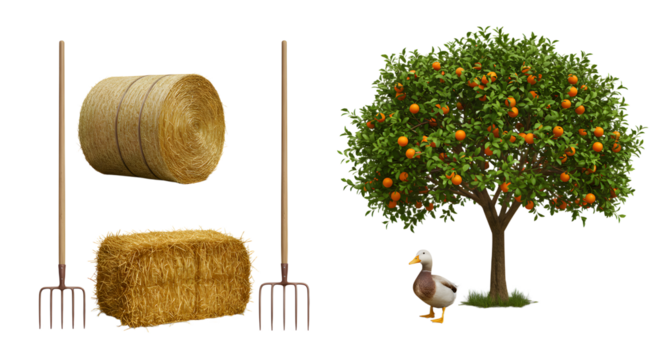 FARMING - Orchard farming tools with hay bales, pitchforks, duck and orange tree, rural agriculture concept, perfect for farming or gardening projects