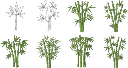 Bamboo plant illustrations, green tropical stalks, Asian nature design, bamboo stems with leaves, botanical vector art, exotic garden foliage clipart