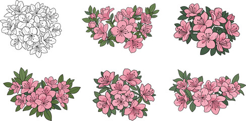 Azalea flower illustration set, pink floral vector, botanical artwork, seasonal garden design, nature elements, stylized blossoms, minimal foliage, spring plant graphics, decorative theme