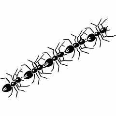 A diagonal line of seven black ants crawling across a white background in a simple vector illustration