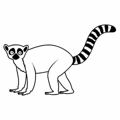 Fototapeta premium Illustration of a ring tailed lemur with black and white striped tail standing on all fours in outline style