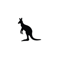 kangaroo vector illustration