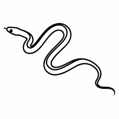 Obraz premium A simple black and white line drawing of a snake slithering across the page in a winding pattern shape