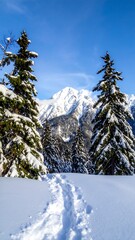 Snow Path to Mountain Peak