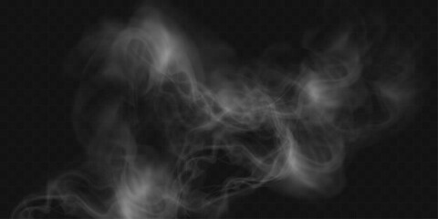 	
Realistic white smoke or mist effect with soft, swirling patterns on a transparent background. Perfect for overlays and atmospheric designs.