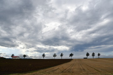 めまんべつメルヘンの丘