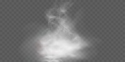 	
Realistic white smoke or mist effect with soft, swirling patterns on a transparent background. Perfect for overlays and atmospheric designs.