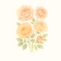 Dark red rose with green leaves isolated on white background,Rose  Flower