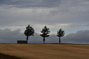めまんべつメルヘンの丘