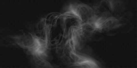 	
Realistic white smoke or mist effect with soft, swirling patterns on a transparent background. Perfect for overlays and atmospheric designs.