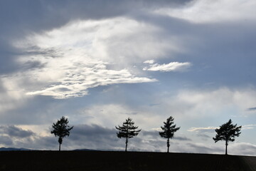 めまんべつメルヘンの丘