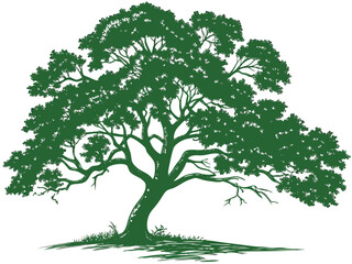 Obraz premium Line art tree collection diverse shapes detailed outline