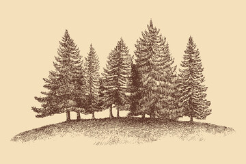 Fototapeta premium Christmas Tree illustration in a vintage style. This vector illustration can be used in any size you like for advertising, logos, and other work.