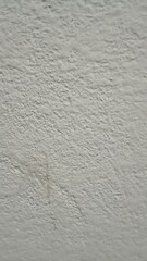 texture of white wall