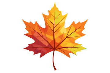 autumn maple leaves
