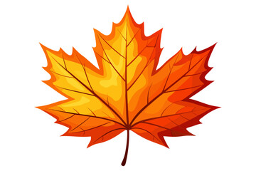 autumn maple leaf