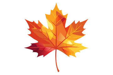 autumn maple leaf
