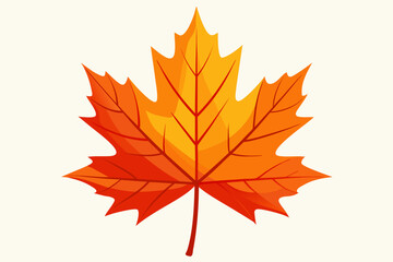autumn maple leaf