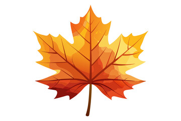 maple leaf isolated on white