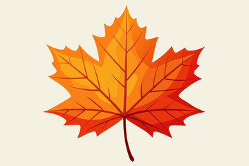 autumn maple leaves