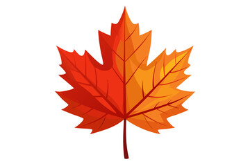autumn maple leaf