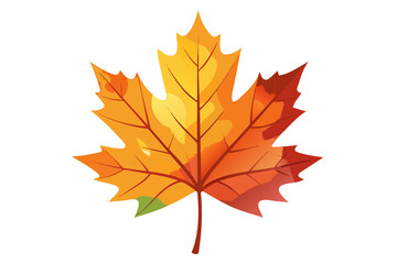 autumn maple leaf
