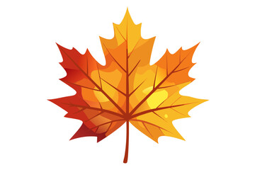 autumn maple leaf