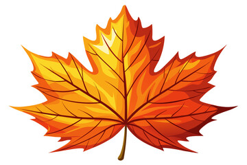 Fototapeta premium autumn maple leaf