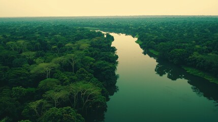 Amazon rainforest aerial view background. River cutting through dense, lush tropical forest. Calm water reflects greenery of surrounding trees and creating serene and peaceful atmosphere