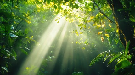Sunlight filters through dense foliage in a vibrant tropical jungle during the early morning hours, illuminating the lush greenery and creating a serene atmosphere
