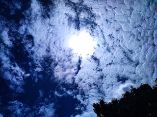 Sunlight Breaking Through Altocumulus Clouds Over Tree Silhouette