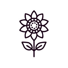 Line art sunflower with leaves on white background - Concept of flower  