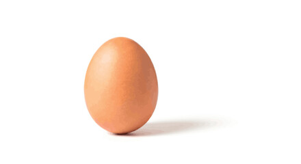 Single brown chicken egg standing upright on a white surface with soft shadow