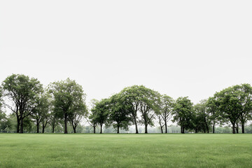 Fototapeta premium Lush green field lined with mature trees under an overcast sky landscape
