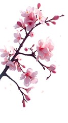 Cherry Blossom Simplicity