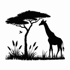 African Nature Silhouette