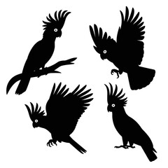 Obraz premium Elegant Bird Silhouettes for Prints, Logos & Decor Art