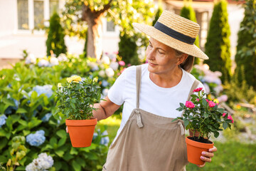 Senior woman in hat and apron with potted flowers in garden